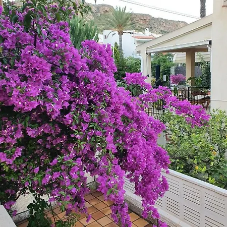 Namar 62 Santa Pola